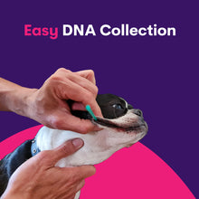 Załaduj obraz do przeglądarki galerii, Geno Pet Dog Breed Identification DNA test
